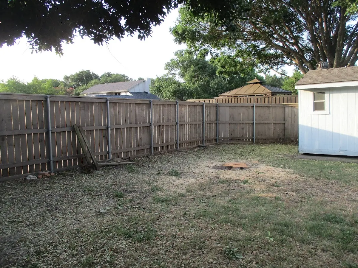 Cleared yard after professional tree removal in Mooers Forks